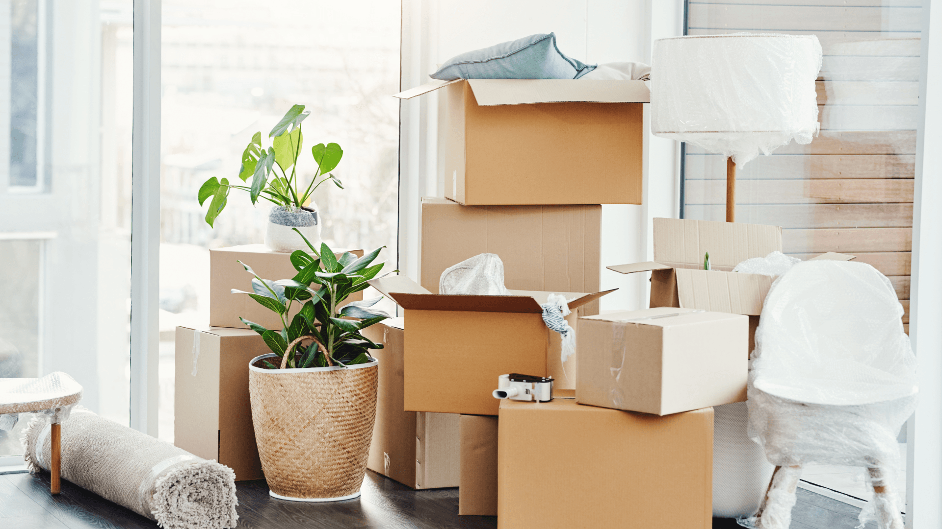 Professioneller Umzugsservice Szene